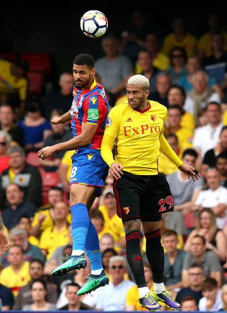 都可能诞生 都可能诞生